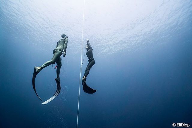 316 Edelstahl Unterwasser Scuba Diving Riff Einzelhaken 15cm 5,9'' 